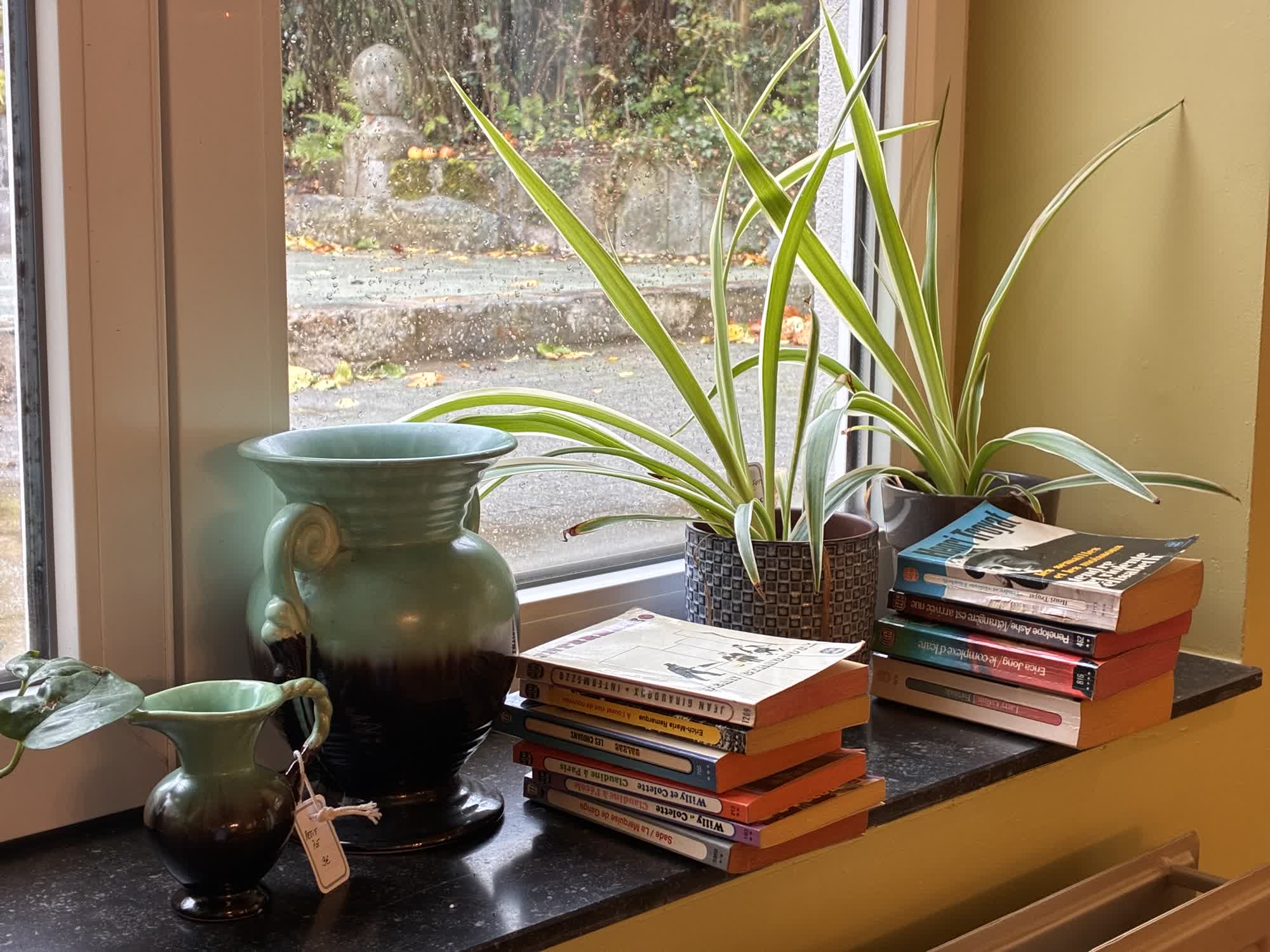 Coin lecture avec ses bouquins et plantes d'intérieur